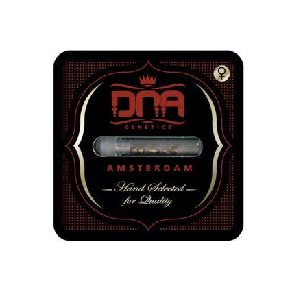 Sour Sorbet | Dna Genetics