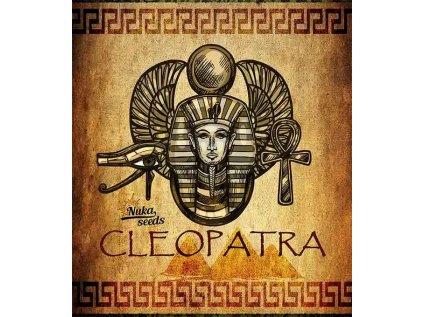Cleopatra CBD | Nuka Seeds