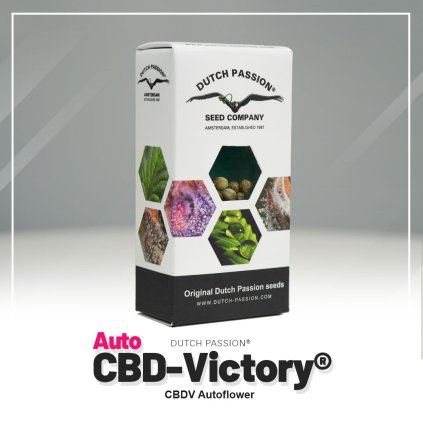 Victory® AUTO CBD Auto – samonakvétací semena | Dutch Passion