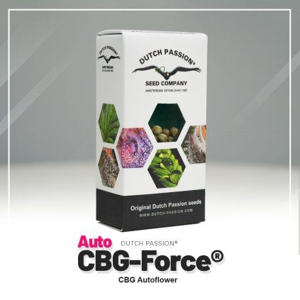 Force® AUTO CBG – samonakvétací semena | Dutch Passion