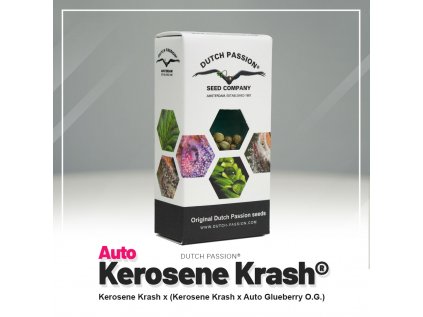 Kerosene Krash® AUTO | Dutch Passion