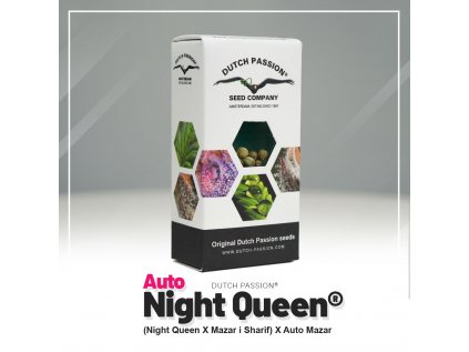 Night Queen® AUTO | Dutch Passion