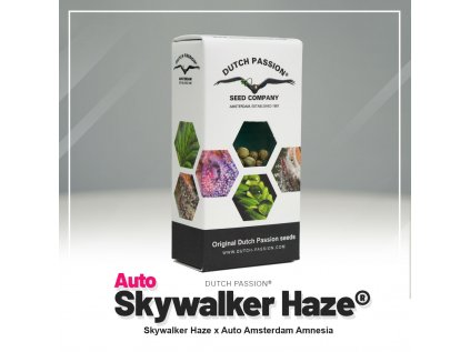 Skywalker Haze® AUTO | Dutch Passion