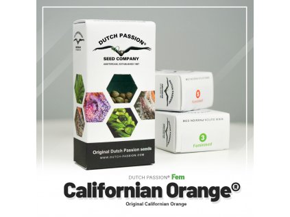 Californian Orange® | Dutch Passion