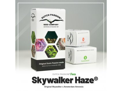 Skywalker Haze® | Dutch Passion