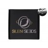 OG Kush – feminizovaná semena | Silent Seeds