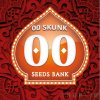 00 SKUNK – feminizovaná semena | 00 SEEDS BANK
