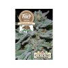 fair seeds slurricane semenacannabis cz
