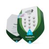cosmos f1logo semenacannabis cz