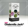 Cinderella Jack® AUTO – samonakvétací semena | Dutch Passion