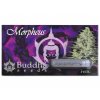 Morpheus CBD | Buddha Seeds