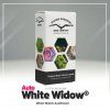 White Widow® AUTO – samonakvétací semena | Dutch Passion