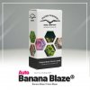 Banana Blaze® AUTO – samonakvétací semena | Dutch Passion