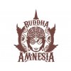 Amnesia | Buddha Seeds ((Ks) Feminized 1)