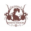 White Widow AUTO | Buddha Seeds ((Ks) Feminized 1)