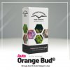 Auto Orange Bud Autoflower Dutch Passion seed company