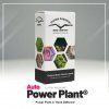 Power Plant® AUTO – samonakvétací semena | Dutch Passion