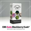 Blackberry Kush® AUTO CBD | Dutch Passion