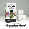 Skywalker Haze® | Dutch Passion
