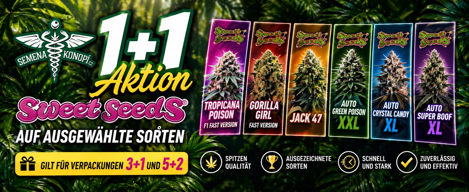 Sweet Seeds 1+1