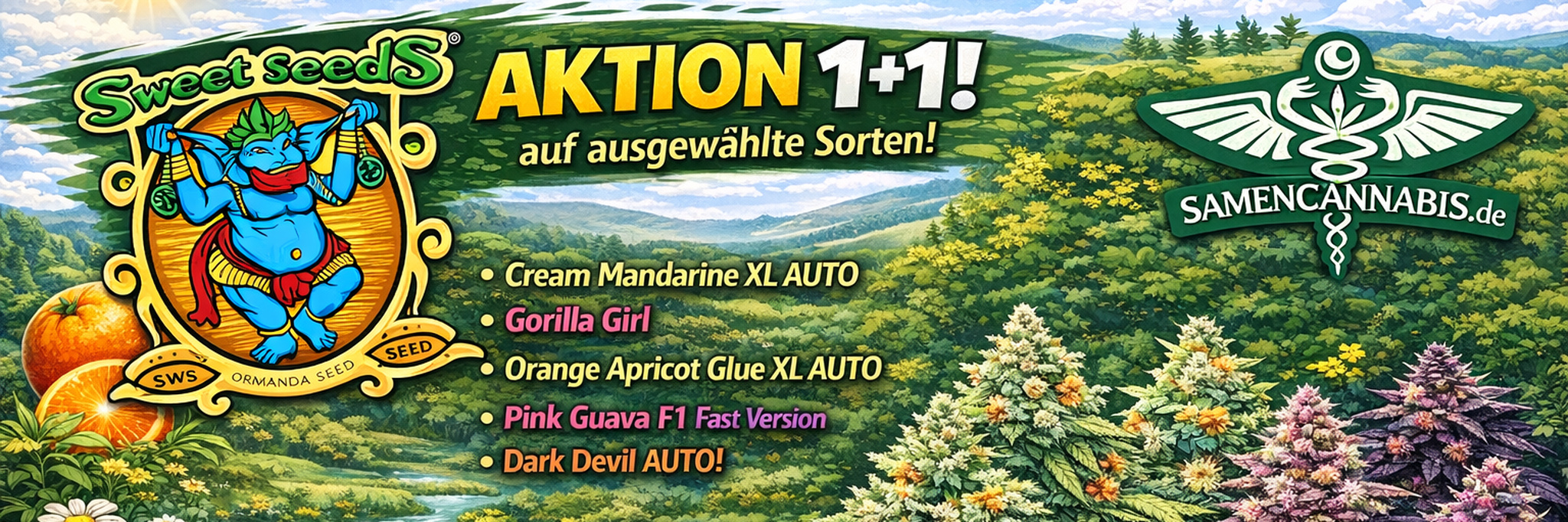 Sweet Seeds 1+1