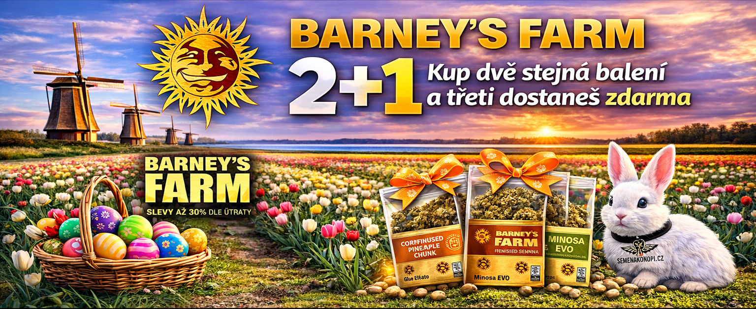 banner_barneys_clean_1536x629