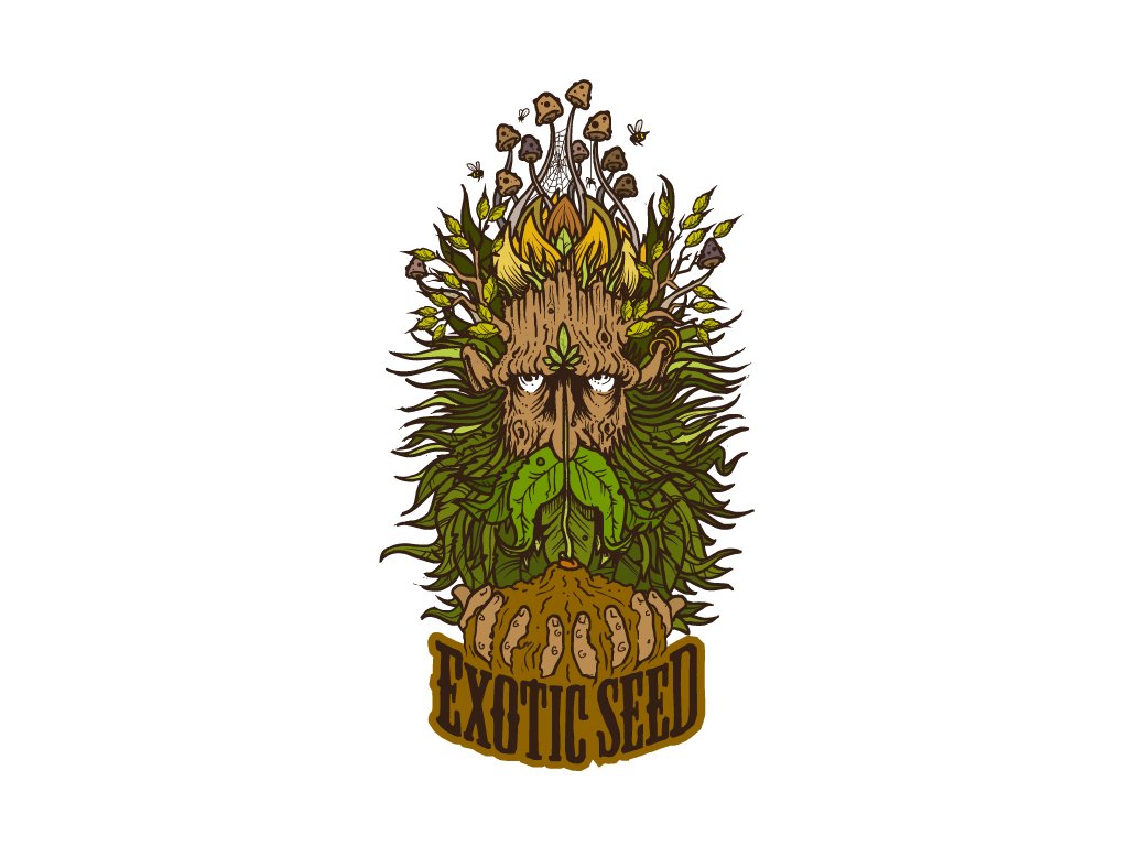 exotic seed greenman logo