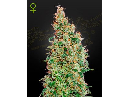 Green o matic.jpg