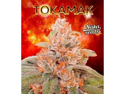 tokamak nukaseeds nahled