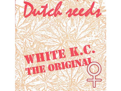 FEM kcbrains white kc