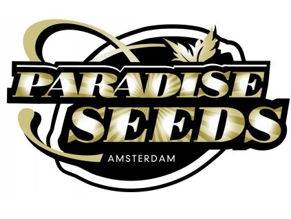 paradise logo