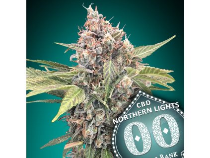 Northern Lights CBD 3 u fem 00 Seeds