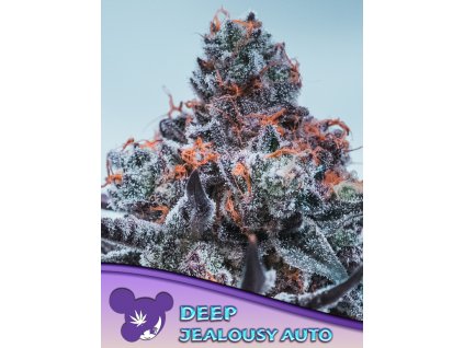 Deep Jealousy – Anesia Seeds – AUTO