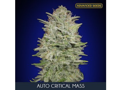 Auto Critical Mass 1 u fem Advanced Seeds
