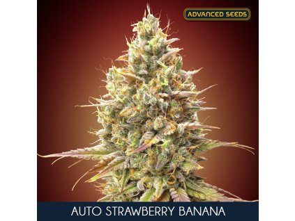 Auto Strawberry Banana 1 u fem Advanced Seeds