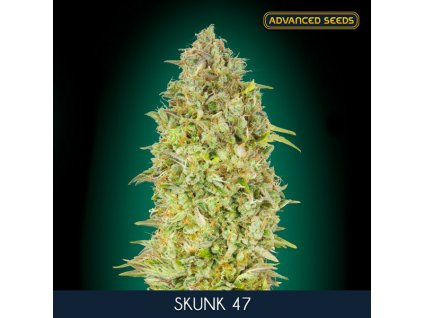 Skunk 47 5 2 u fem Advanced Seeds