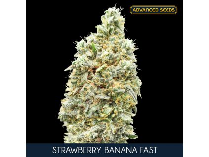Strawberry Banana Fast 25 u fem Advanced Seeds