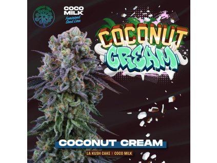 Coconut Cream 6 u fem Perfect Tree