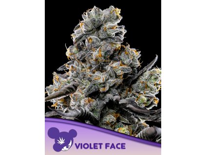 Violet Face 600x800 2