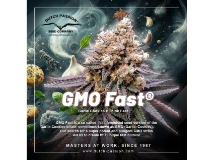 GMO Fast 1080x1080