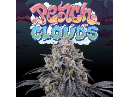 peach clouds perfect tree
