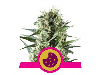 royal cookies