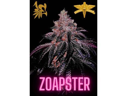 ZOAPSTER (1)
