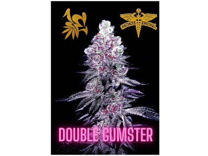 DOUBLE GUMSTER