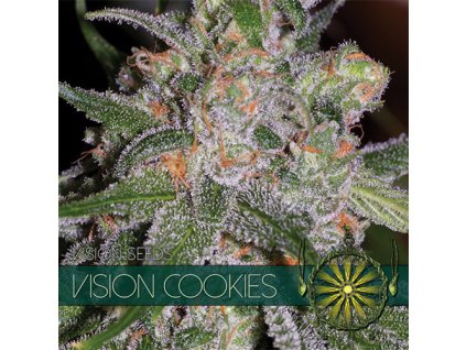 vision seeds cookies500x500