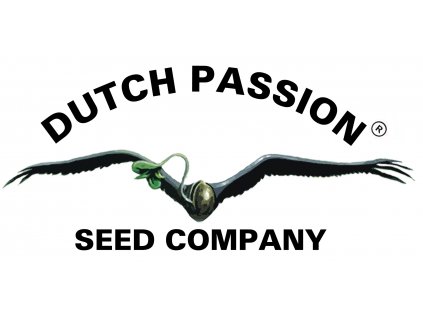 Dutch Passion