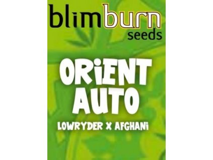 blimburn seeds AUTO orient
