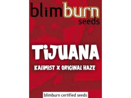 certified blimburn seeds TIJUANA feminized