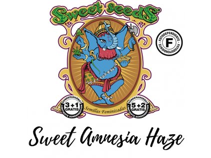 sweet-amnesia-haze-sweet-seeds-feminized-semena-konopi-marihuany