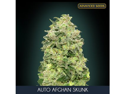 Auto Afghan Skunk 1 u fem Advanced Seeds